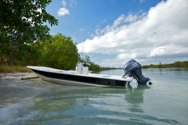 Carolina Skiff J 16